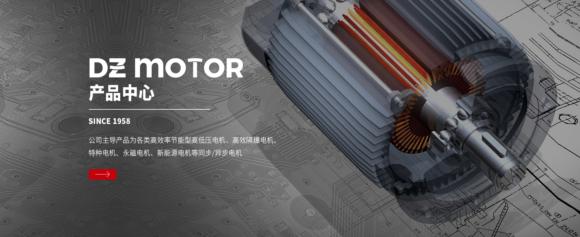 大中電機產(chǎn)品